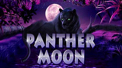 Panther Moon